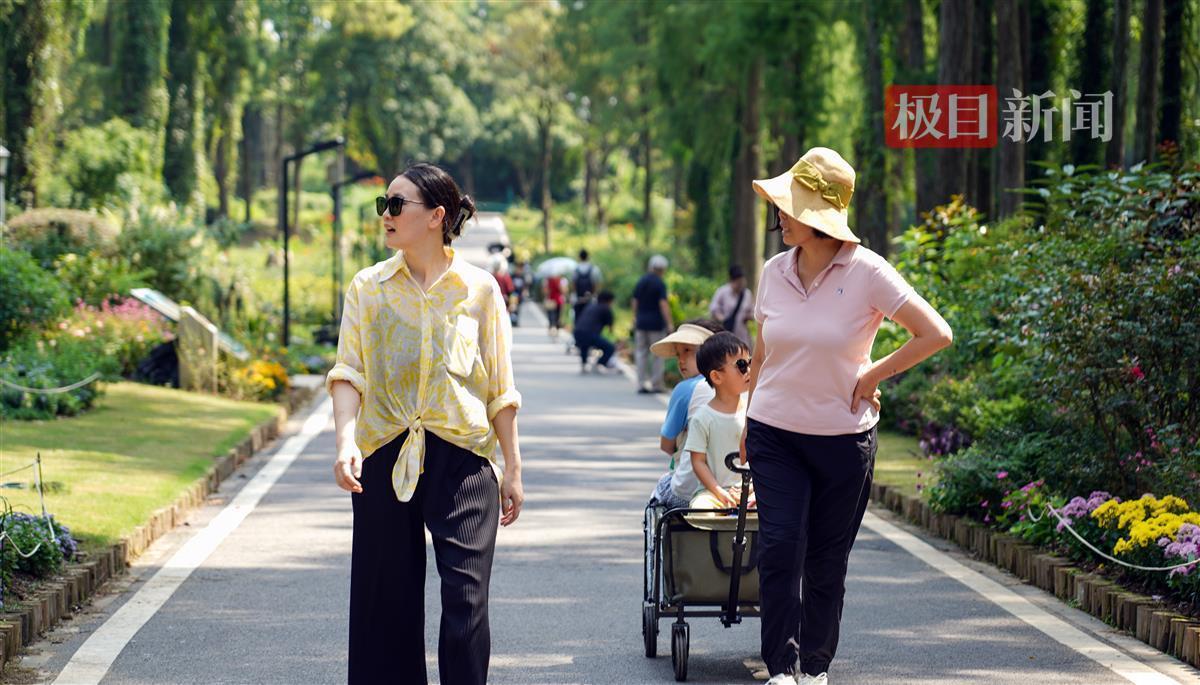 答题大满贯下载